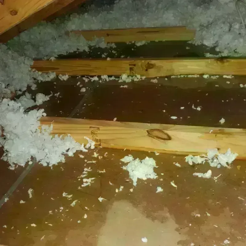 Attic Water Damage in Indiana, PA