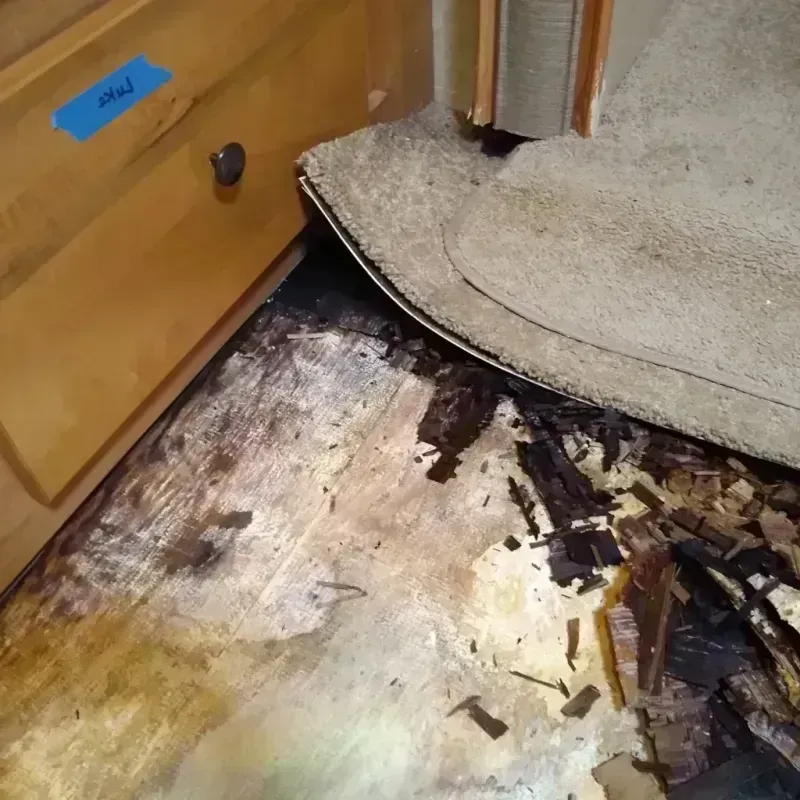 Wood Floor Water Damage in Indiana, PA